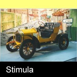 stimula1